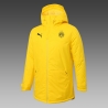 Утепленная куртка зимняя борусия дортмунт (Желтая) 2021 2020